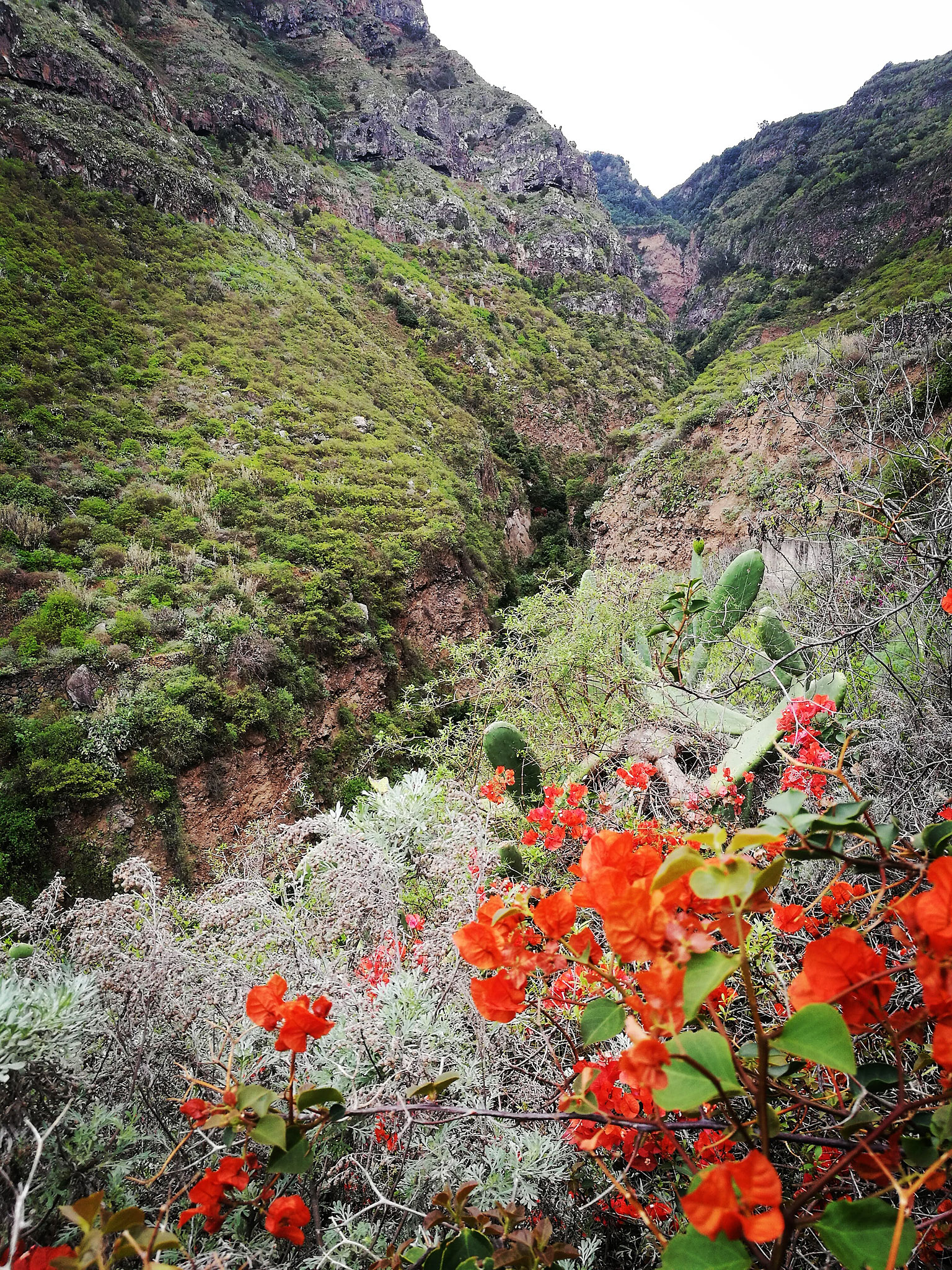 Barranco Ruiz, Teneriffa